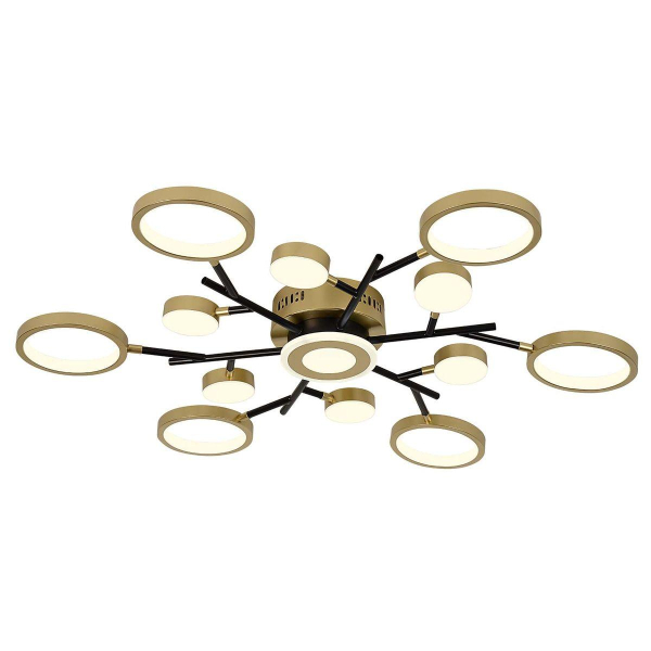 Потолочный светодиодный светильник F-Promo Hybrid 4686-13C