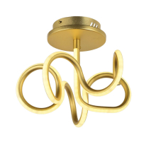 Потолочный светодиодный светильник Arti Lampadari Angelo L 1.2.35.06 G