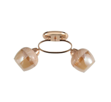 Потолочный светильник ЭкономСвет 12210/2FGD AMB+WD