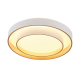 Потолочный светодиодный светильник MyFar Ceiling Rhea MR9161-CL