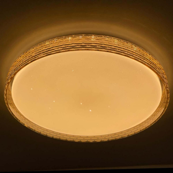 Потолочный светодиодный светильник Profit Light 2095/450 WH+GD RGB Потолочный светодиодный светильник Profit Light 2095/450 WH+GD RGB