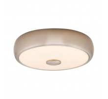 Потолочный светодиодный светильник Citilux Фостер-3 CL706321