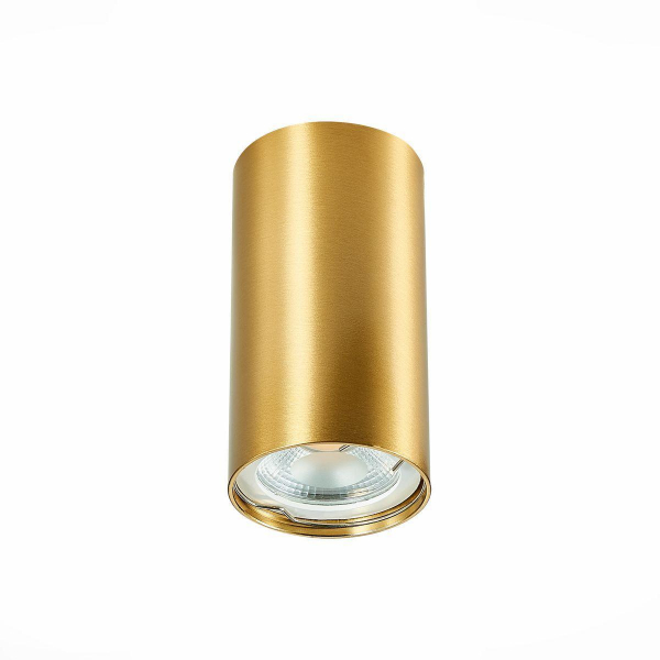 Потолочный светильник ST Luce ST110.207.01 Потолочный светильник ST Luce ST110.207.01