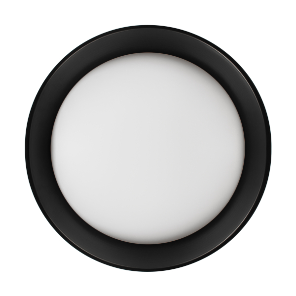 Потолочный светильник Loft it Coin 10202 BB