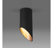 Потолочный светильник Elektrostandard DLN114 GU10 черный/золото a050120