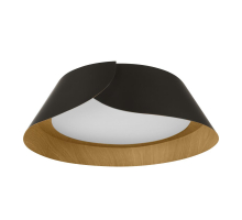 Потолочный светильник LOFT IT Lane 10370 Black