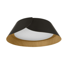 Потолочный светильник LOFT IT Lane 10370 Black