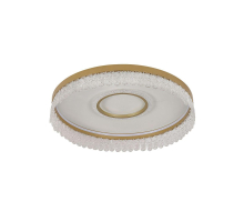 Потолочный светодиодный светильник F-Promo Lunetta 4186-2C