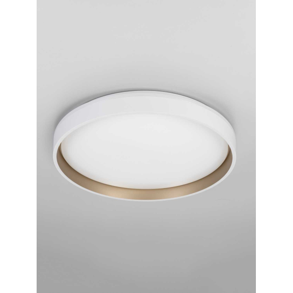 Потолочный светильник Citilux CL753450G