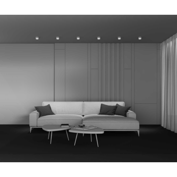 Потолочный светильник Maytoni Technical C001CL-GX53-W