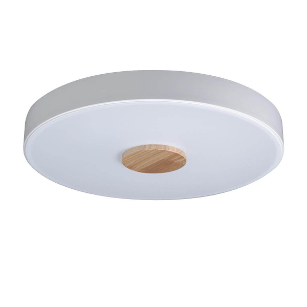 Потолочный светодиодный светильник Loft IT Axel 10003/24 white Потолочный светодиодный светильник Loft IT Axel 10003/24 white