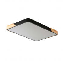 Потолочный светильник Zortes ALBERRO ZRS.01244.60