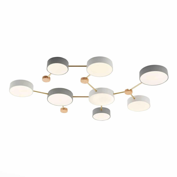 Потолочный светильник Evoluce DOSSENA SLE600102-08 Потолочный светильник Evoluce DOSSENA SLE600102-08