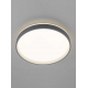 Потолочный светильник Citilux CL753453G