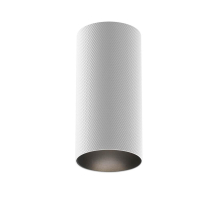 Потолочный светильник Maytoni Technical Artisan C080CL-01-GU10-W