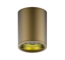 Потолочный светодиодный светильник Gauss Overhead HD001