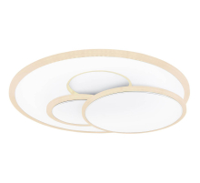 Потолочный светодиодный светильник Globo Tarabina 48279-48