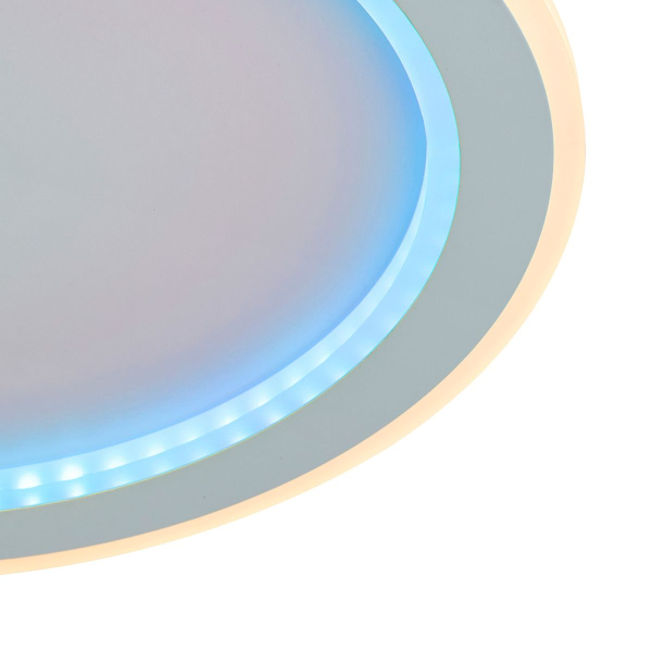 Потолочный светодиодный светильник F-Promo Lema 4697-4C