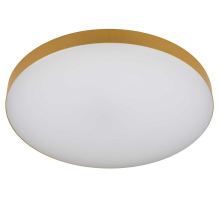 Светильник потолочный светодиодный ЭРА Классик с ДУ Relict 48 Pult SPB-6-60-RC MG 60Вт 3000-6500К Золото Б0059498