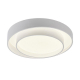 Потолочный светодиодный светильник MyFar Ceiling Rhea MR9160-CL