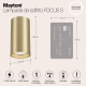 Потолочный светильник Maytoni Focus S C052CL-01MG