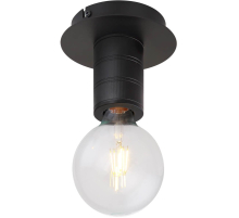 Потолочный светильник Globo Hermine 54030-1D