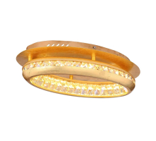 Потолочный светодиодный светильник Globo Hommi 67096-18G