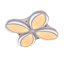 Потолочный светодиодный светильник Adilux 1011