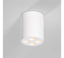 Потолочный светильник Elektrostandard 25111/LED a067482