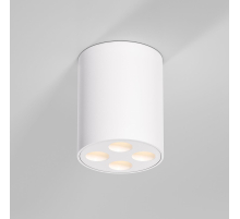 Потолочный светильник Elektrostandard 25111/LED a067482