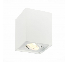 Потолочный светильник ST Luce ST109.507.01