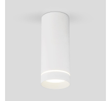 Потолочный светодиодный светильник Elektrostandard DLR022 12W 4200K белый матовый a037524