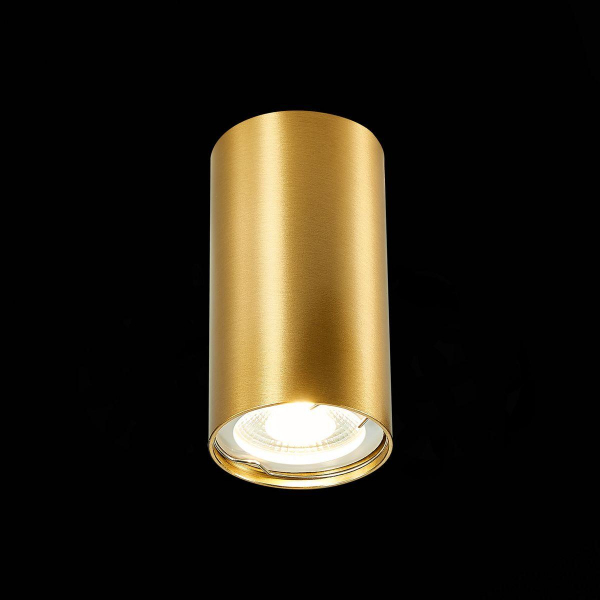 Потолочный светильник ST Luce ST110.207.01 Потолочный светильник ST Luce ST110.207.01