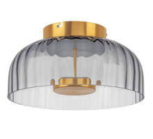 Потолочный светодиодный светильник Lightstar Celesta 809061