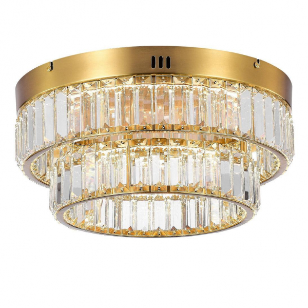 Потолочный светодиодный светильник MyFar Irina MR2011-2CL Потолочный светодиодный светильник MyFar Irina MR2011-2CL