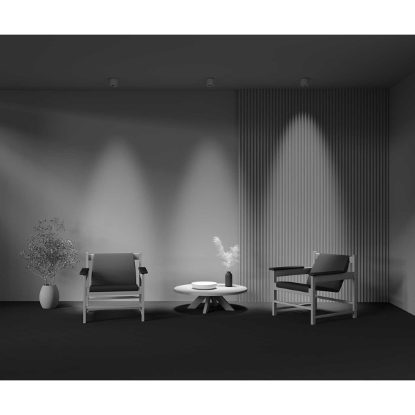 Потолочный светильник Technical C217CL-15W4K-W