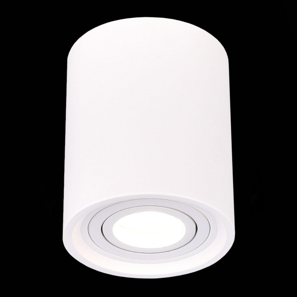 Потолочный светильник ST Luce ST156.502.01 Потолочный светильник ST Luce ST156.502.01