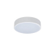Потолочный светодиодный светильник Loft IT Axel 10002/12 white