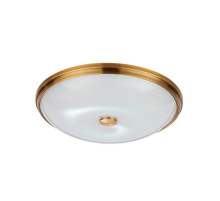 Потолочный светильник Odeon Light Walli Pelow 4956/5