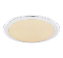 Потолочный светодиодный светильник Globo Nicole Ii 48395-24