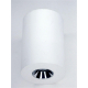 Потолочный светодиодный светильник Elvan NLS-210067-4.2W-WW-WhCh