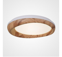 Потолочный светодиодный светильник Imperium Loft Runis 219476-26