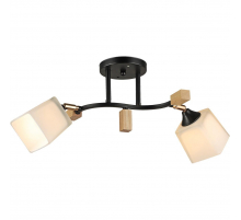 Потолочный светильник Reluce 04866-0.3-02 BK+WOOD