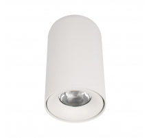 Потолочный светодиодный светильник Loft IT Tictac 10220 White 4000K