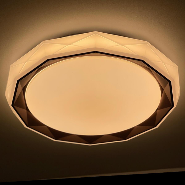 Потолочный светодиодный светильник Profit Light 2070/450 WH+CR RGB Потолочный светодиодный светильник Profit Light 2070/450 WH+CR RGB