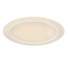 Потолочный светодиодный светильник Globo Dahla 48549-45