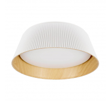Потолочный светодиодный светильник Loft IT Evans 10224 White
