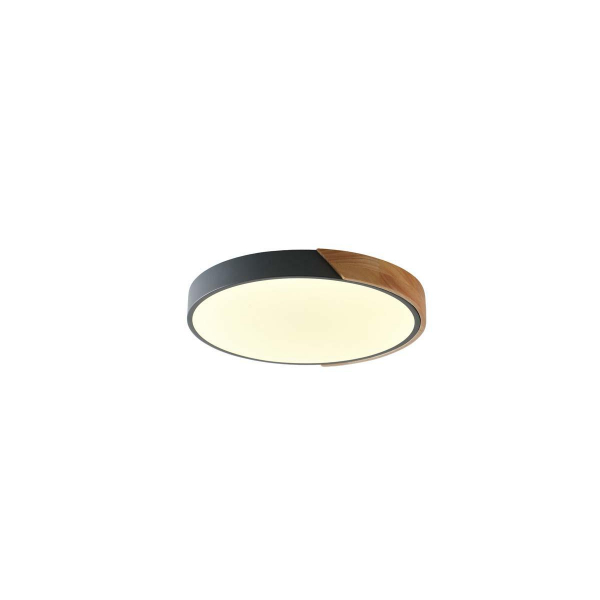 Потолочный светильник Zortes ALBERRO ZRS.01280.24 Потолочный светильник Zortes ALBERRO ZRS.01280.24
