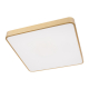 Потолочный светодиодный светильник Loft IT Flims 10228/D