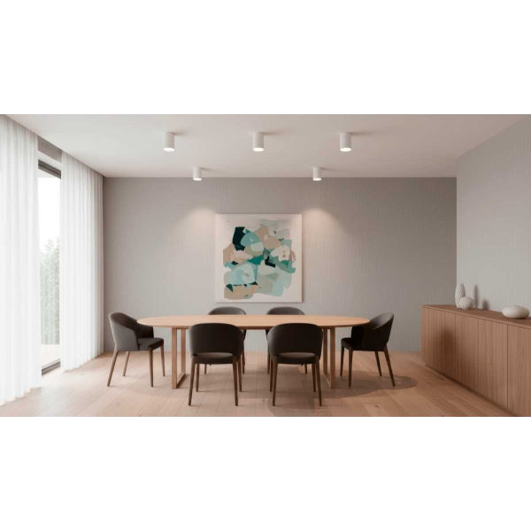 Светильник потолочный Crystal Lux CLT 084C WH